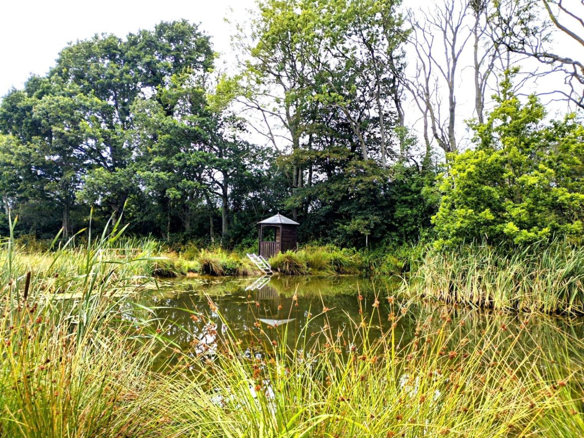 Snug & Secluded Lakeside Shepherds Hut 'Carp' Акфілд Екстер'єр фото