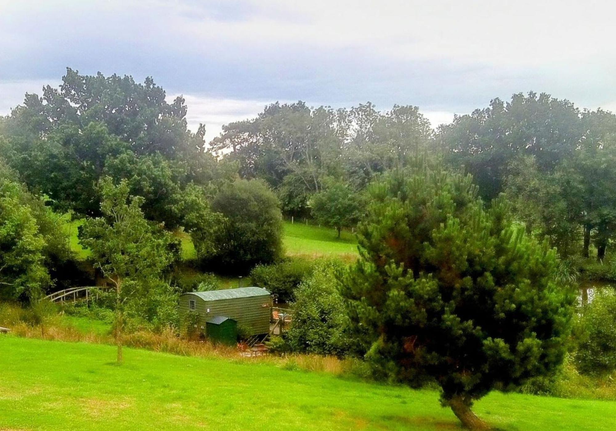Snug & Secluded Lakeside Shepherds Hut 'Carp' Акфілд Екстер'єр фото