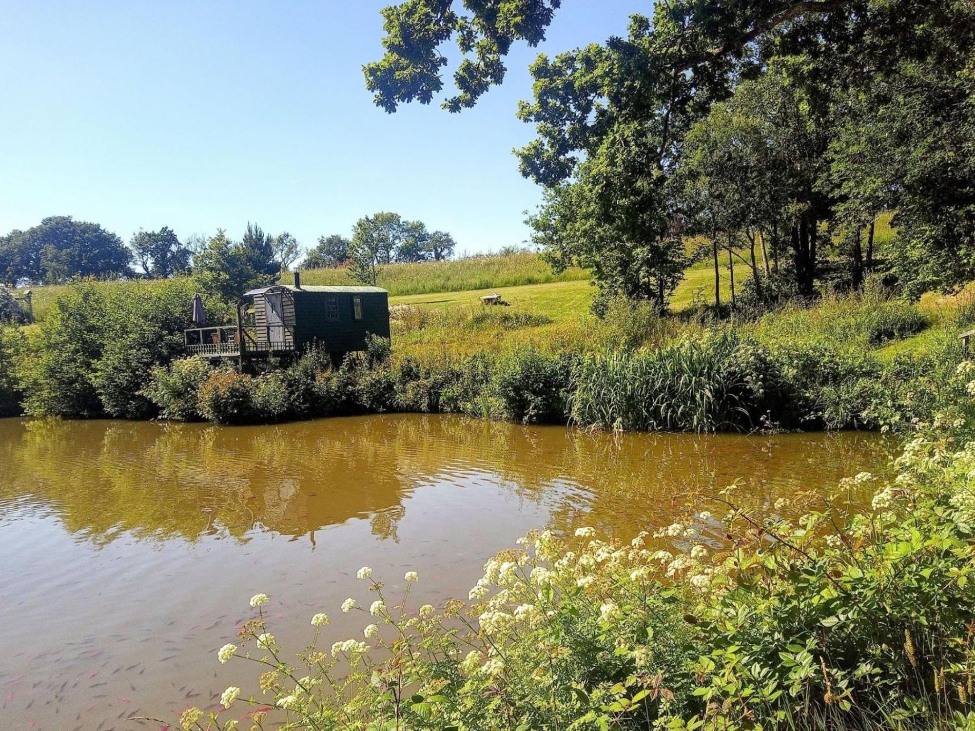 Snug & Secluded Lakeside Shepherds Hut 'Carp' Акфілд Екстер'єр фото